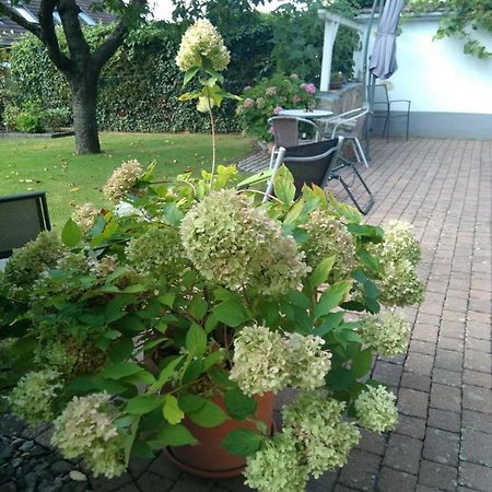 Ferienwohnung Kirschbluete Billigheim-Ingenheim 外观 照片