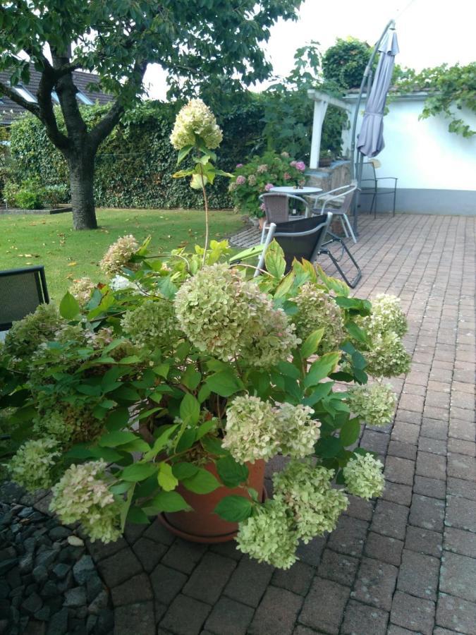 Ferienwohnung Kirschbluete Billigheim-Ingenheim 外观 照片
