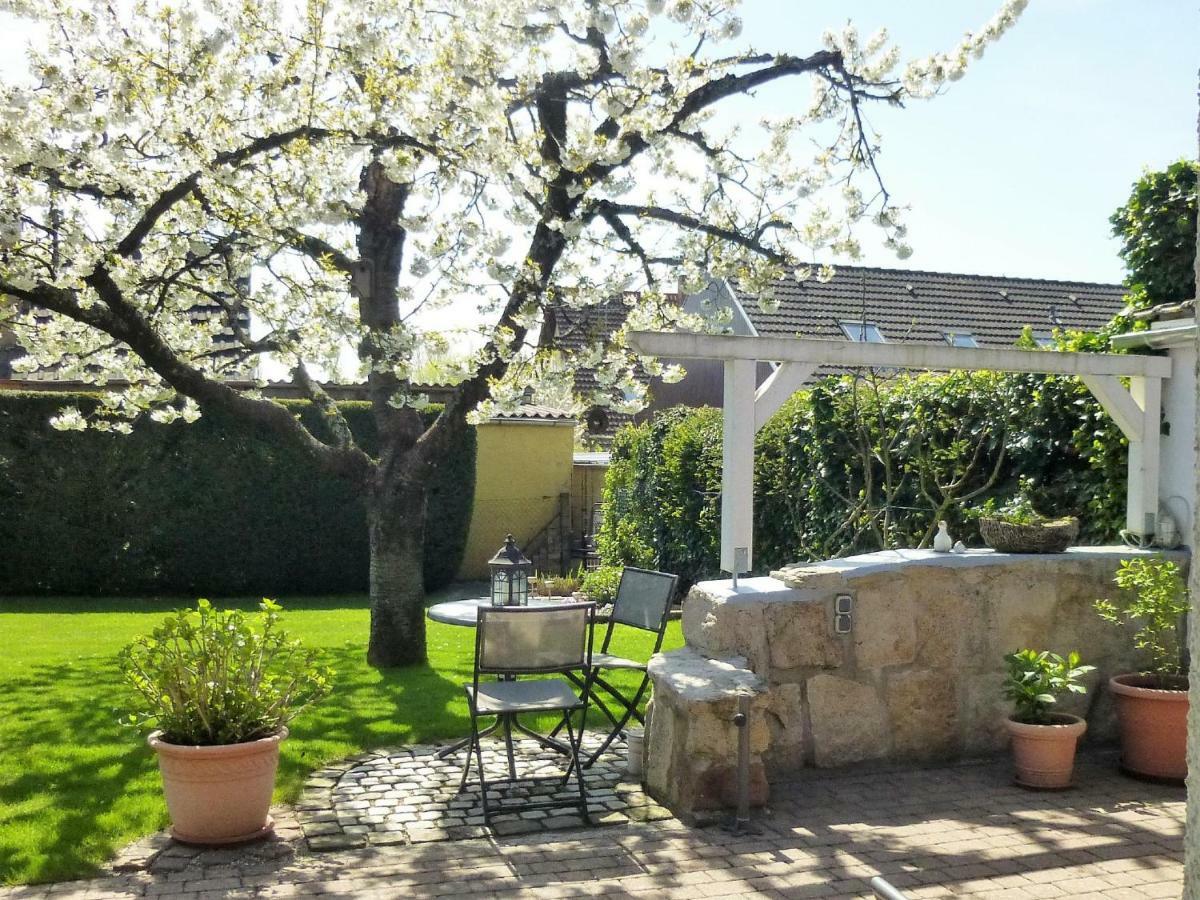 Ferienwohnung Kirschbluete Billigheim-Ingenheim 外观 照片