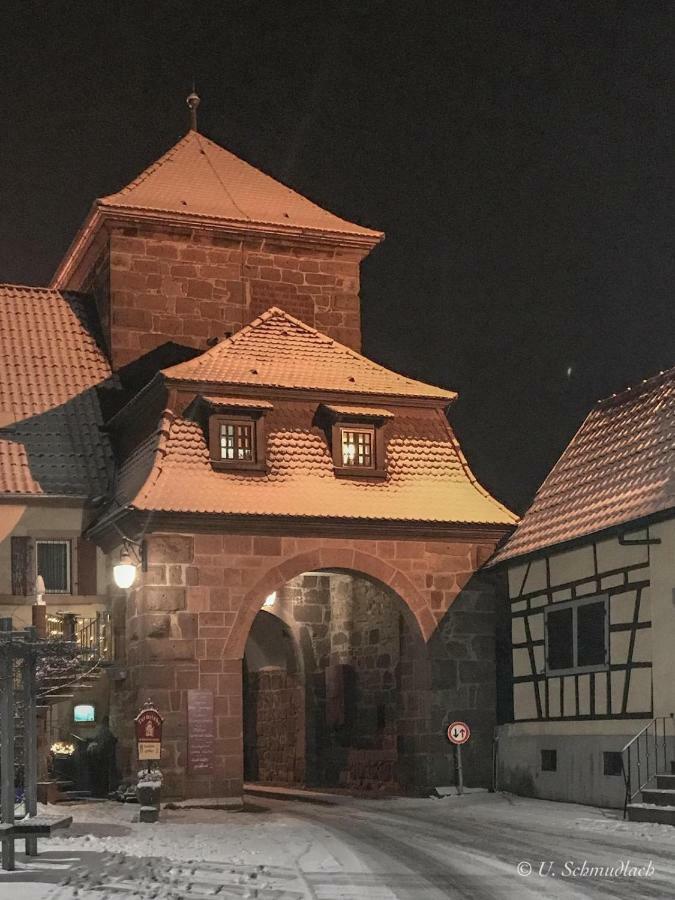 Ferienwohnung Kirschbluete Billigheim-Ingenheim 外观 照片