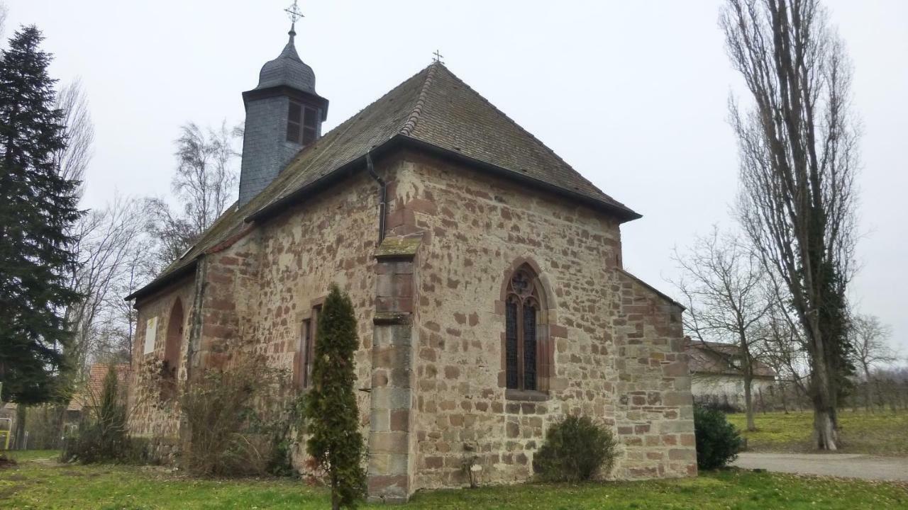 Ferienwohnung Kirschbluete Billigheim-Ingenheim 外观 照片