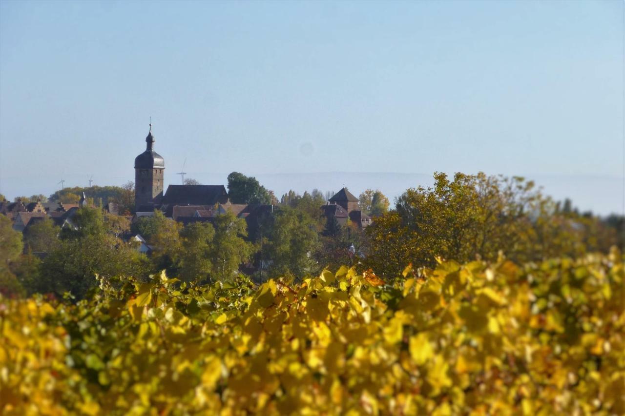 Ferienwohnung Kirschbluete Billigheim-Ingenheim 外观 照片