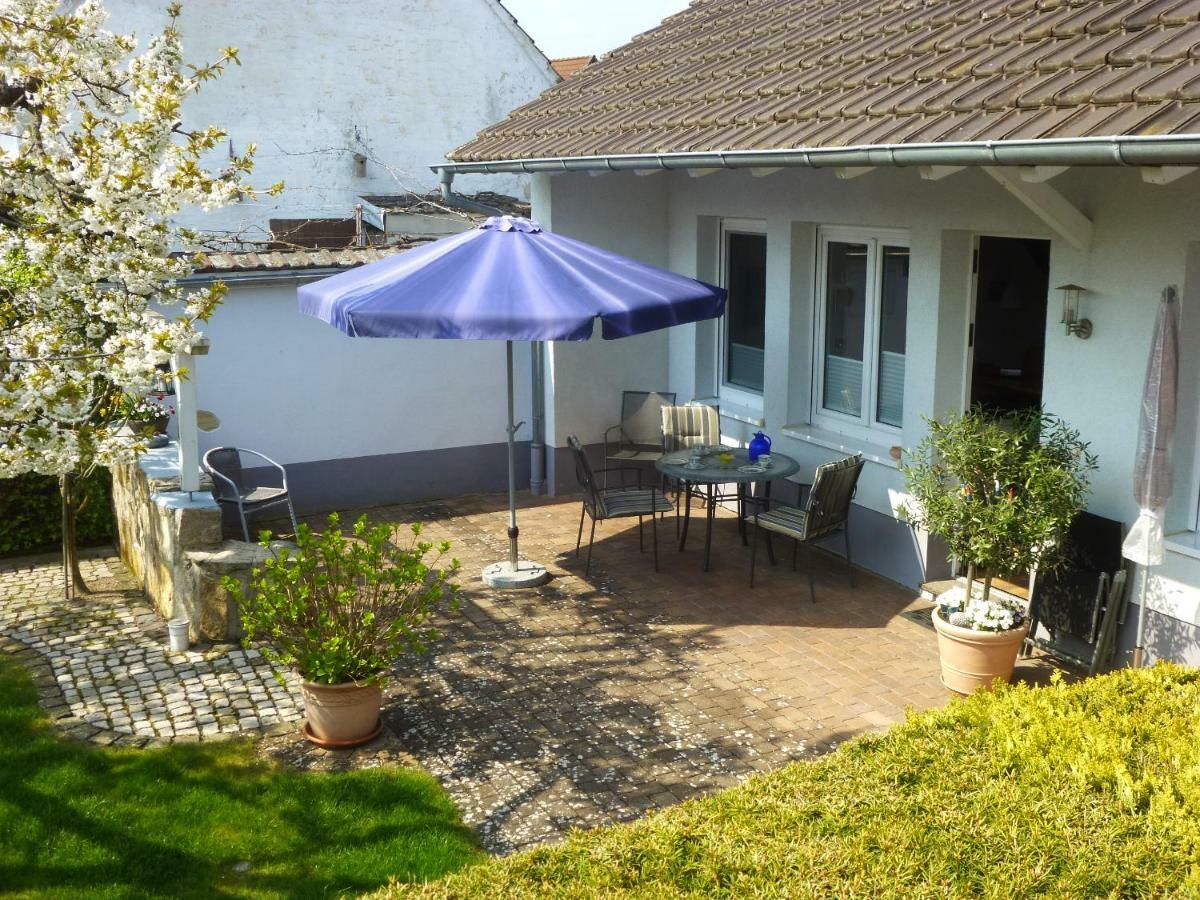 Ferienwohnung Kirschbluete Billigheim-Ingenheim 外观 照片